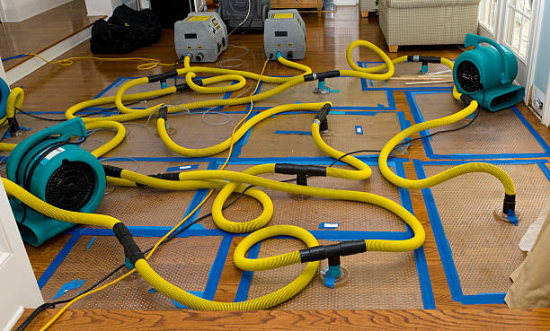 Professional Basement Flood Cleanup technician working in Green Valley, CA